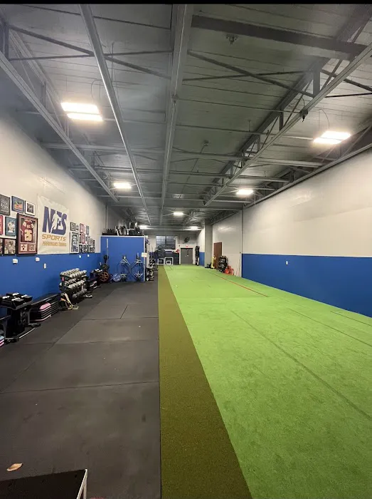 NES Sports Performance Picture 2