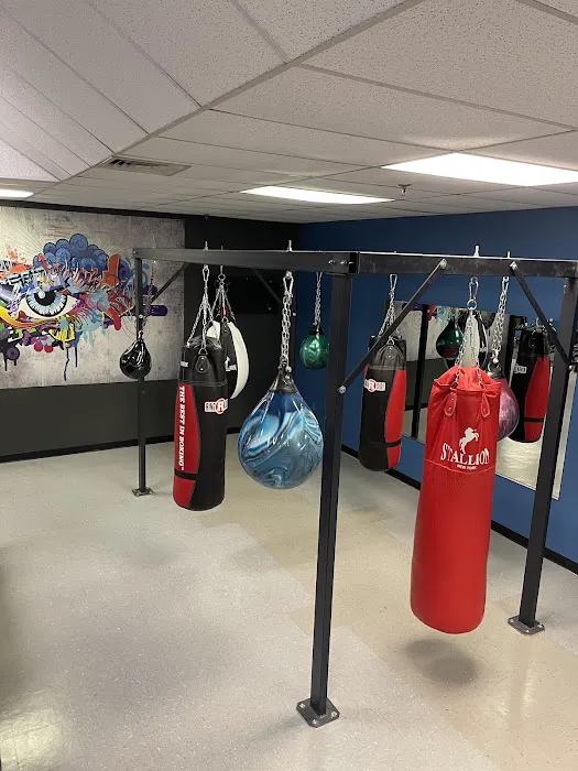 EIR Boxing & Fitness Academy Picture 1