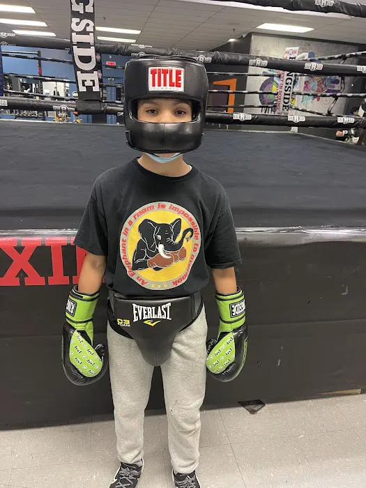 EIR Boxing & Fitness Academy Picture 8