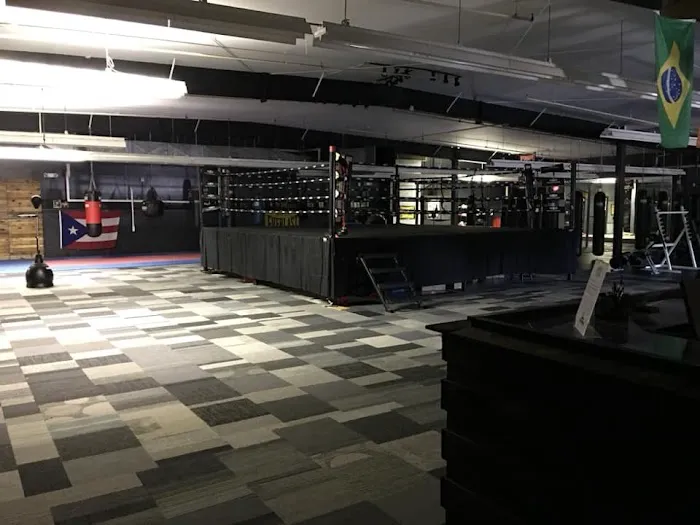 EIR Boxing & Fitness Academy Picture 9
