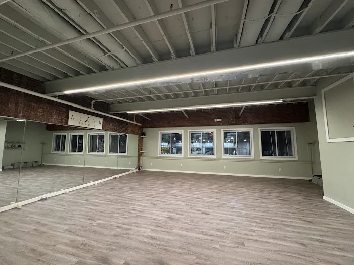 ALIGN Studio LLC Picture 9
