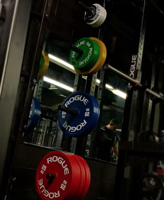 Arsen's Gym | 24/7 Orange Ct Picture 6