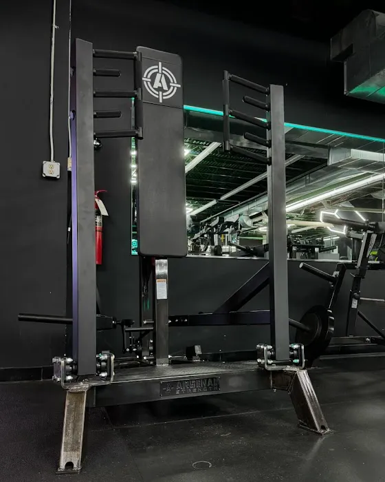 Madhouse Gym Picture 7