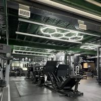 Madhouse Gym ico