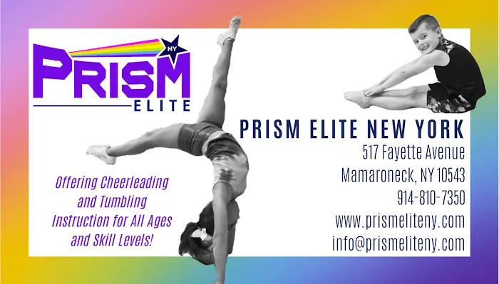 Prism Elite New York Picture 6
