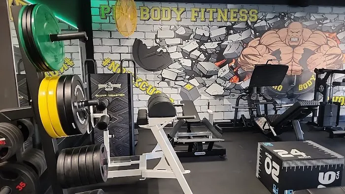 PRO BODY FITNESS OF NY Picture 1