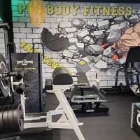 PRO BODY FITNESS OF NY ico
