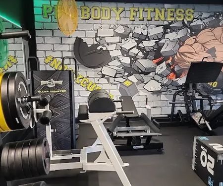 PRO BODY FITNESS OF NY