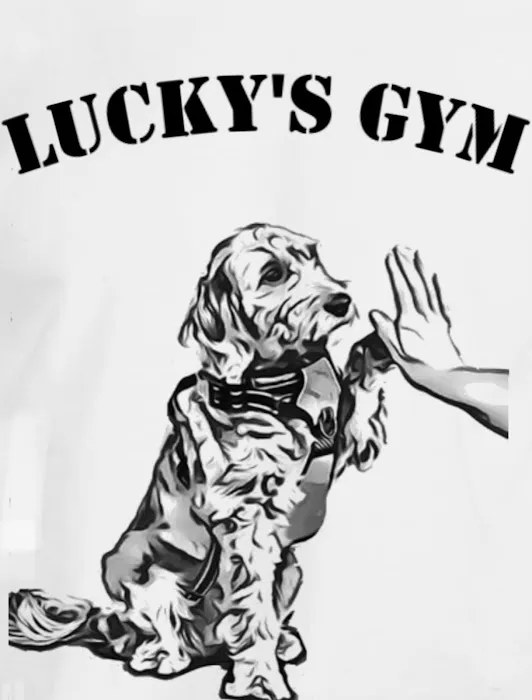 Lucky’s Gym Picture 3