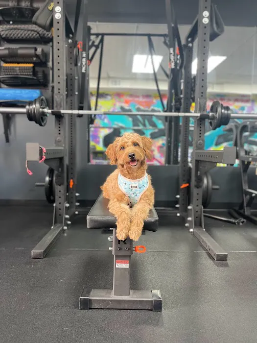 Lucky’s Gym Picture 9