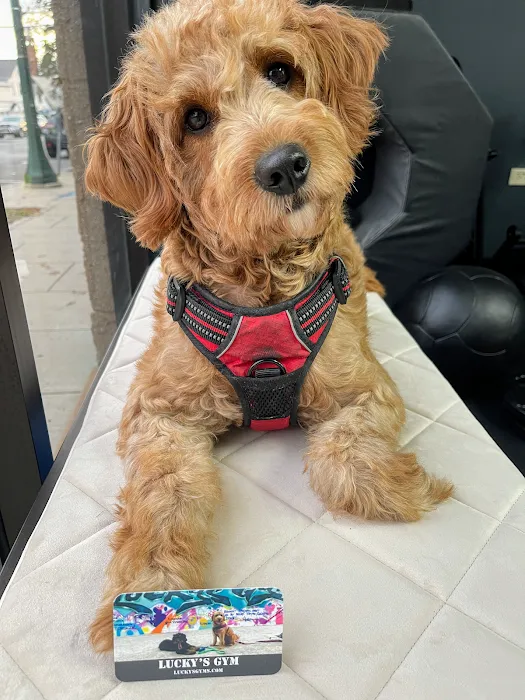 Lucky’s Gym Picture 10