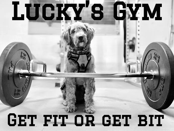 Lucky’s Gym Picture 6
