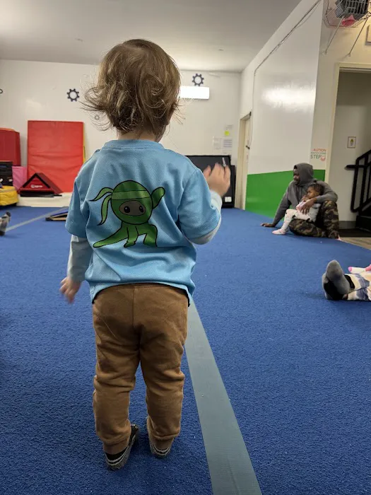 Ninja Gymnastics Factory Picture 1