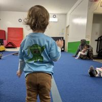 Ninja Gymnastics Factory ico