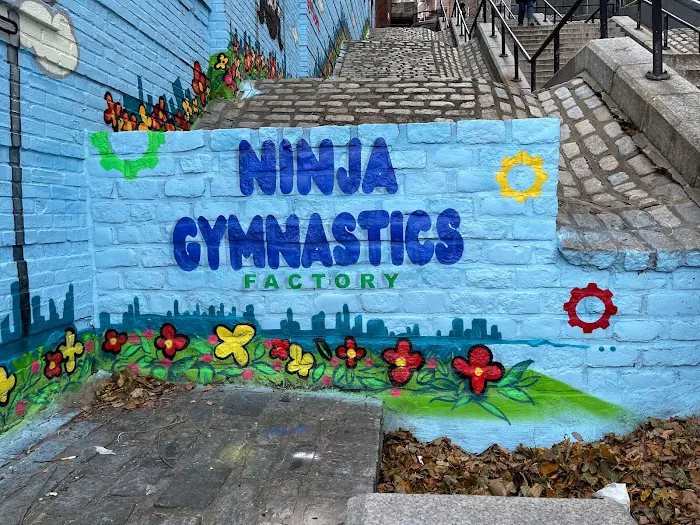 Ninja Gymnastics Factory Picture 7
