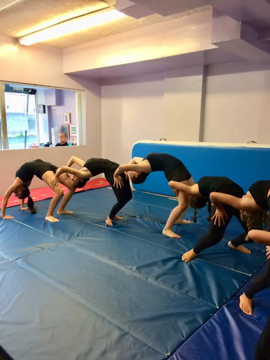 Sofia's Fitness & Dance Studio Picture 3
