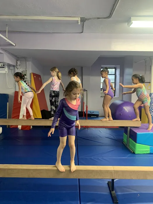 Sofia's Fitness & Dance Studio Picture 1