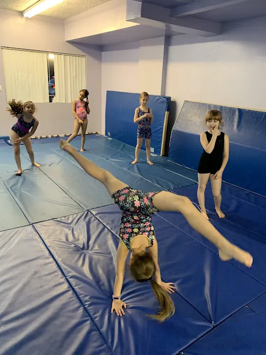 Sofia's Fitness & Dance Studio Picture 9