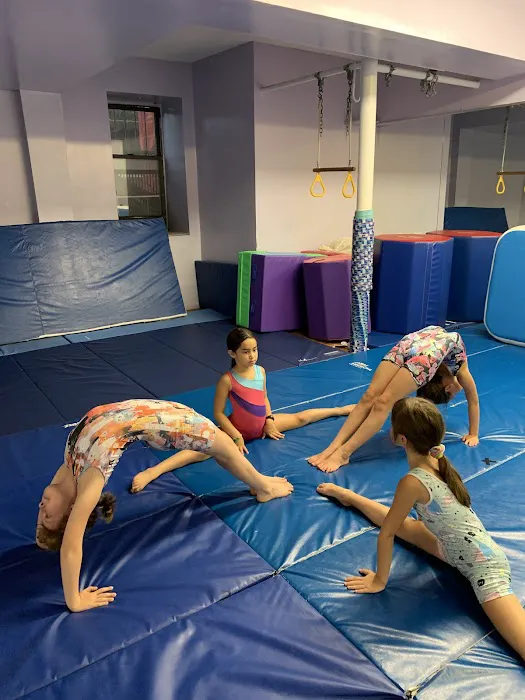 Sofia's Fitness & Dance Studio Picture 10