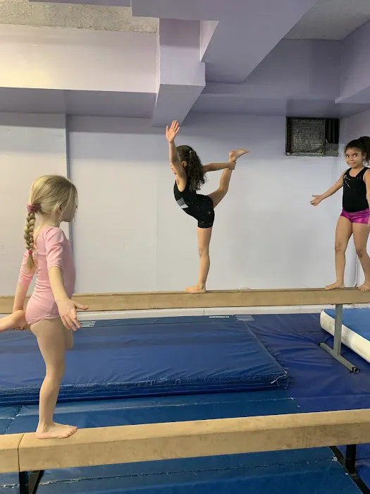 Sofia's Fitness & Dance Studio Picture 8