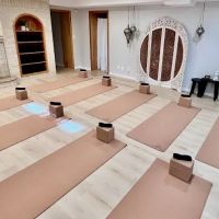 Yoga Muse ico