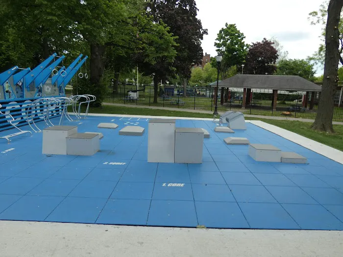 Fitness Court at Hartley Park Picture 6