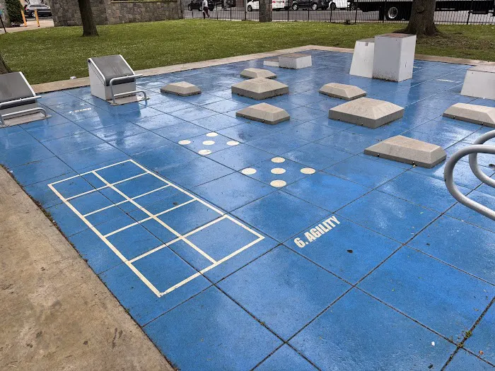 Fitness Court at Hartley Park Picture 8