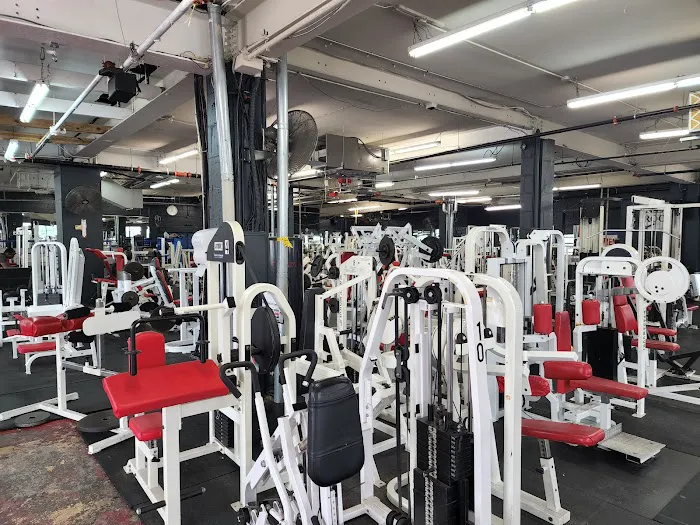Xtreme Fitness of Westchester Picture 3