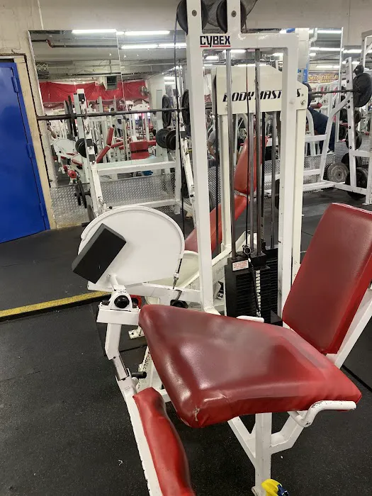 Xtreme Fitness of Westchester Picture 5