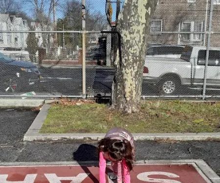 Basketball Court
