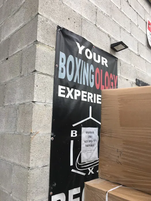 Boxingology, LLC. Picture 4