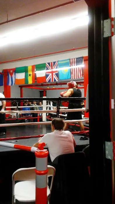 Boxingology, LLC. Picture 8
