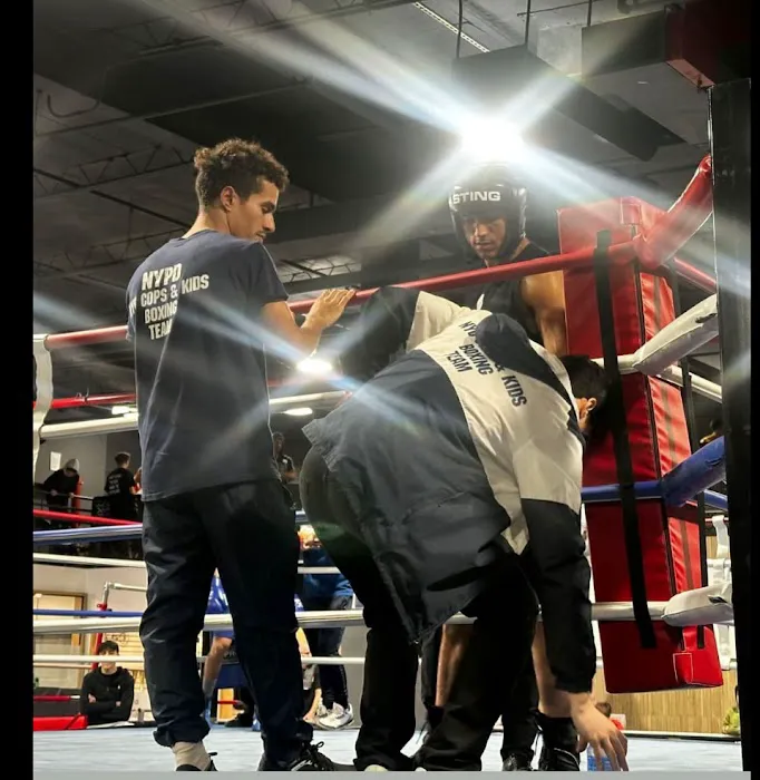 Boxingology, LLC. Picture 10