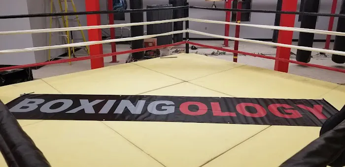 Boxingology, LLC. Picture 9