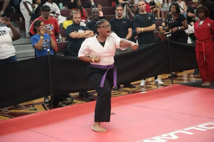 Impact Martial Arts Picture 6