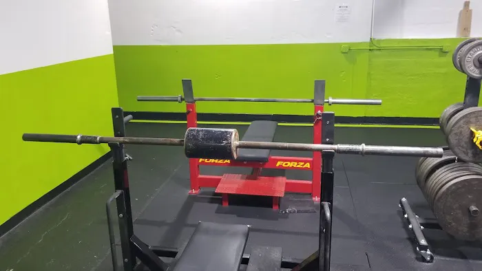 Mount Vernon Barbell Picture 7
