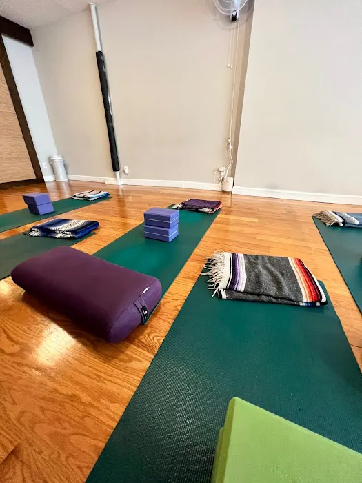 Prenatal Yoga Center Picture 8
