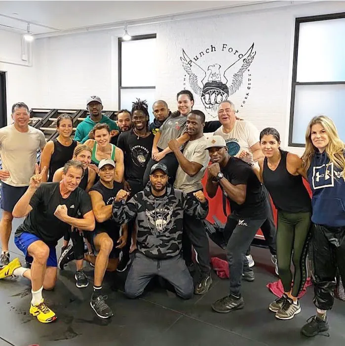 Punch Force Fitness Picture 1