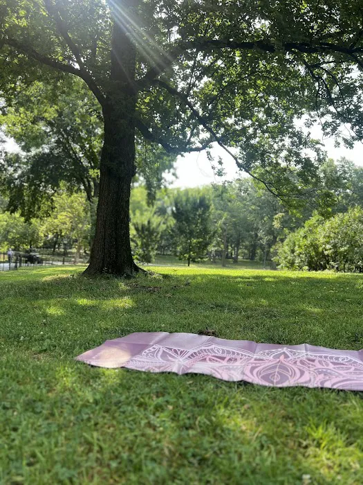 Yoga in Central Park Picture 7