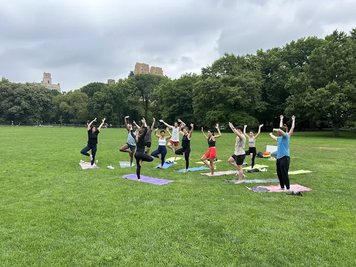 Yoga in Central Park Picture 8