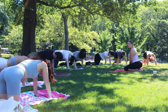 Yoga in Central Park Picture 4