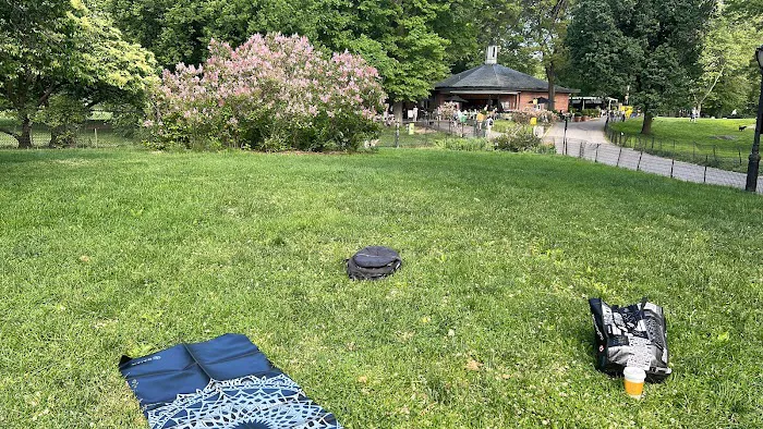 Yoga in Central Park Picture 5