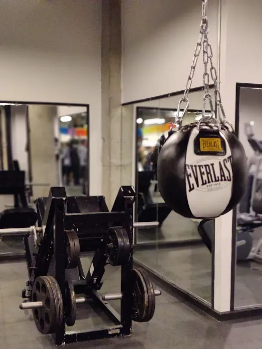 Mendez Boxing Harlem Picture 7