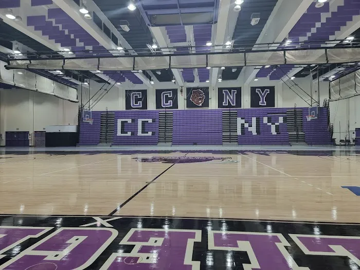 Nat Holman Gymnasium Picture 9