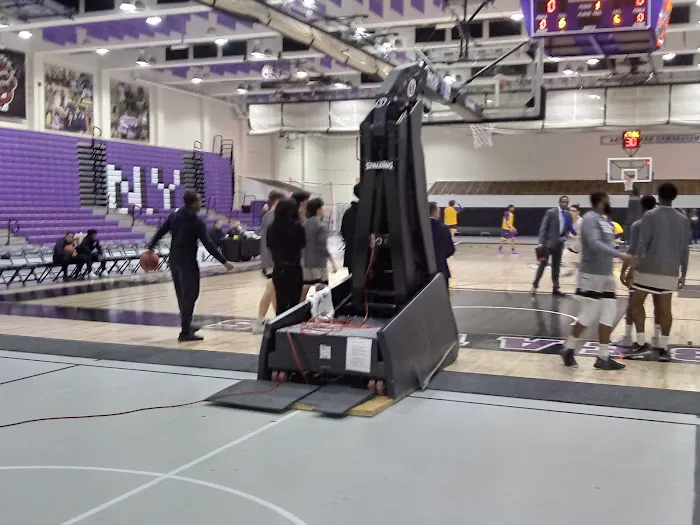 Nat Holman Gymnasium Picture 2
