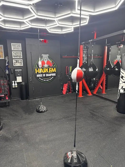 Harlem House of Champions Picture 6