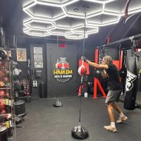 Harlem House of Champions ico