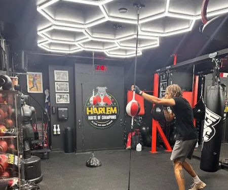 Harlem House of Champions