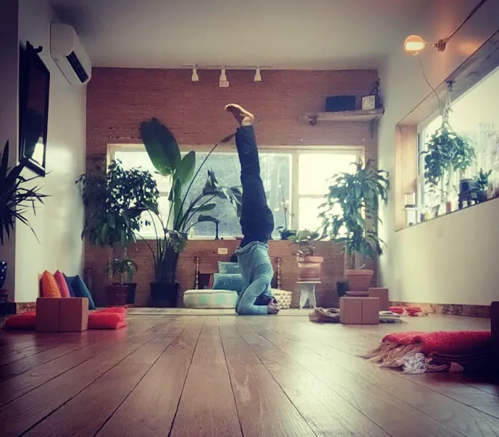 And Yoga Studios - Nostrand Picture 1