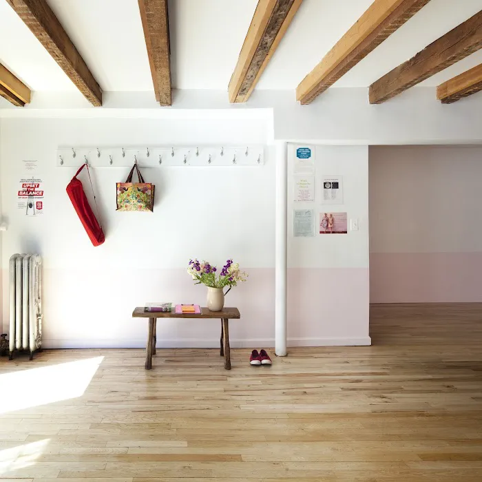 The Shala Yoga | Fort Greene Picture 5